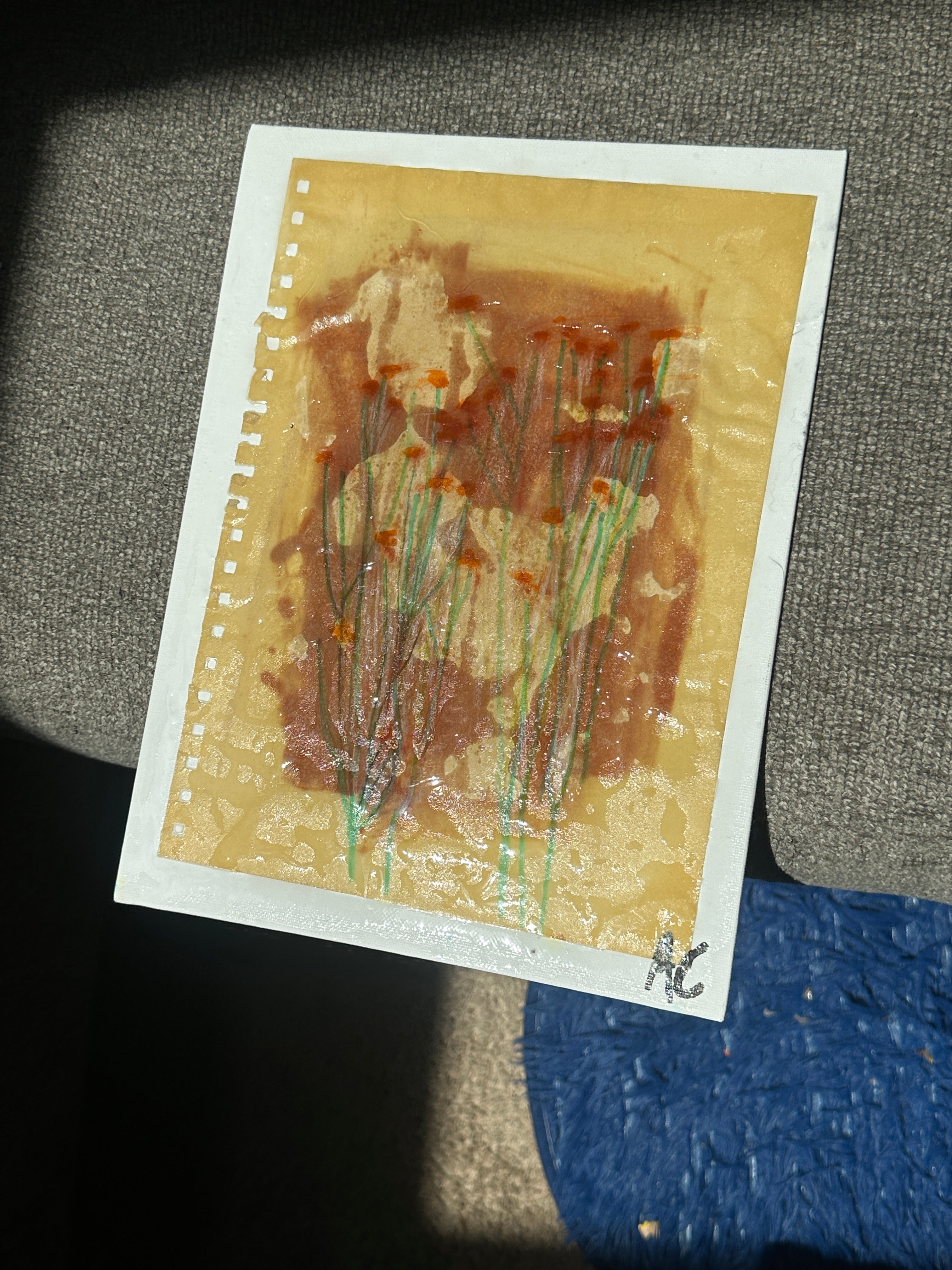 sun printed baby breath