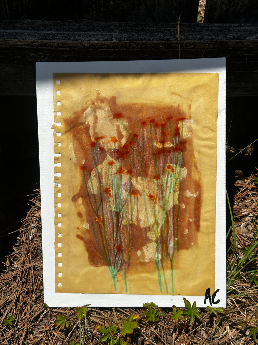 sun printed baby breath