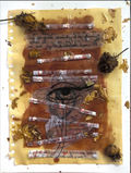 Transparent letter to my past lover