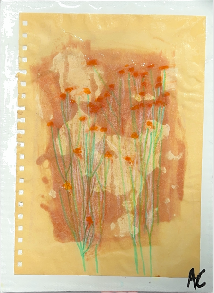 sun printed baby breath